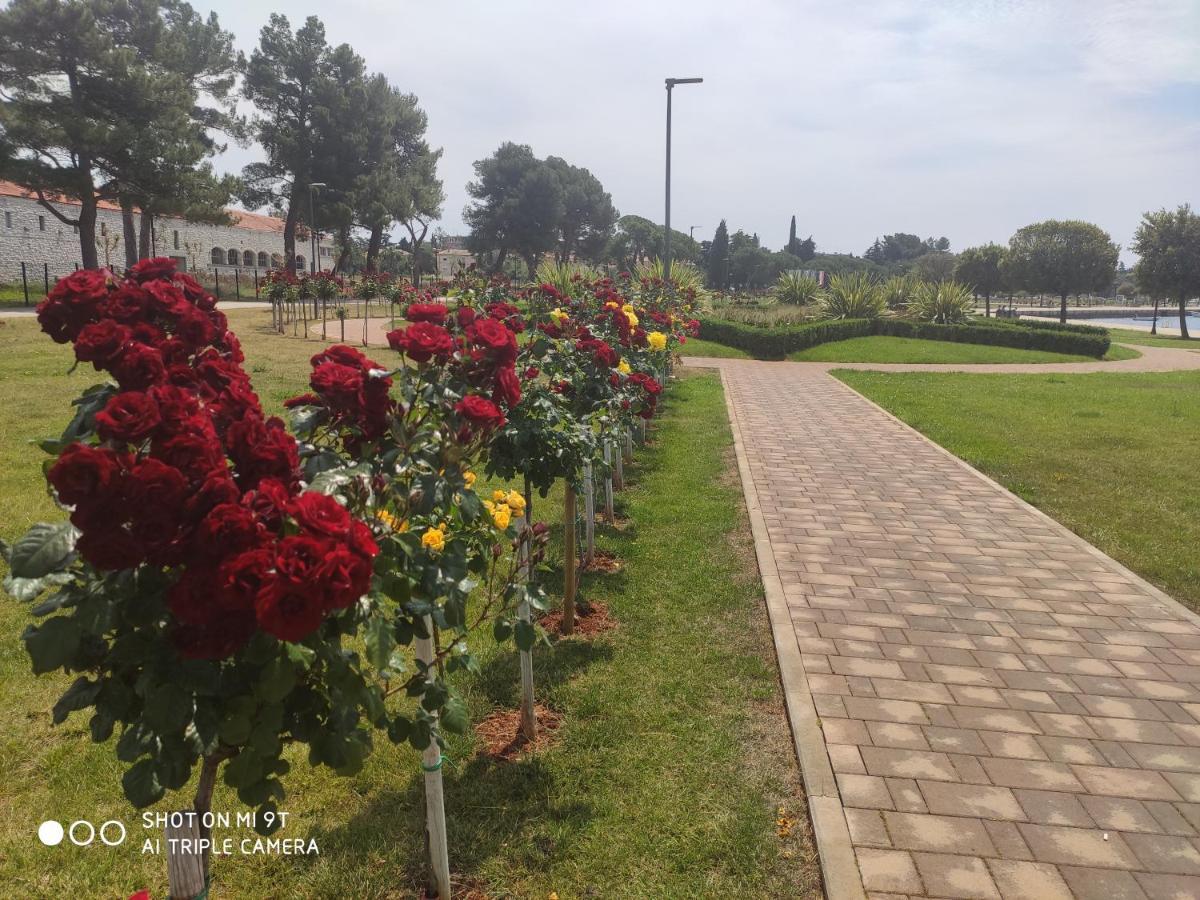 אומאג Dolce Vita City Center מראה חיצוני תמונה